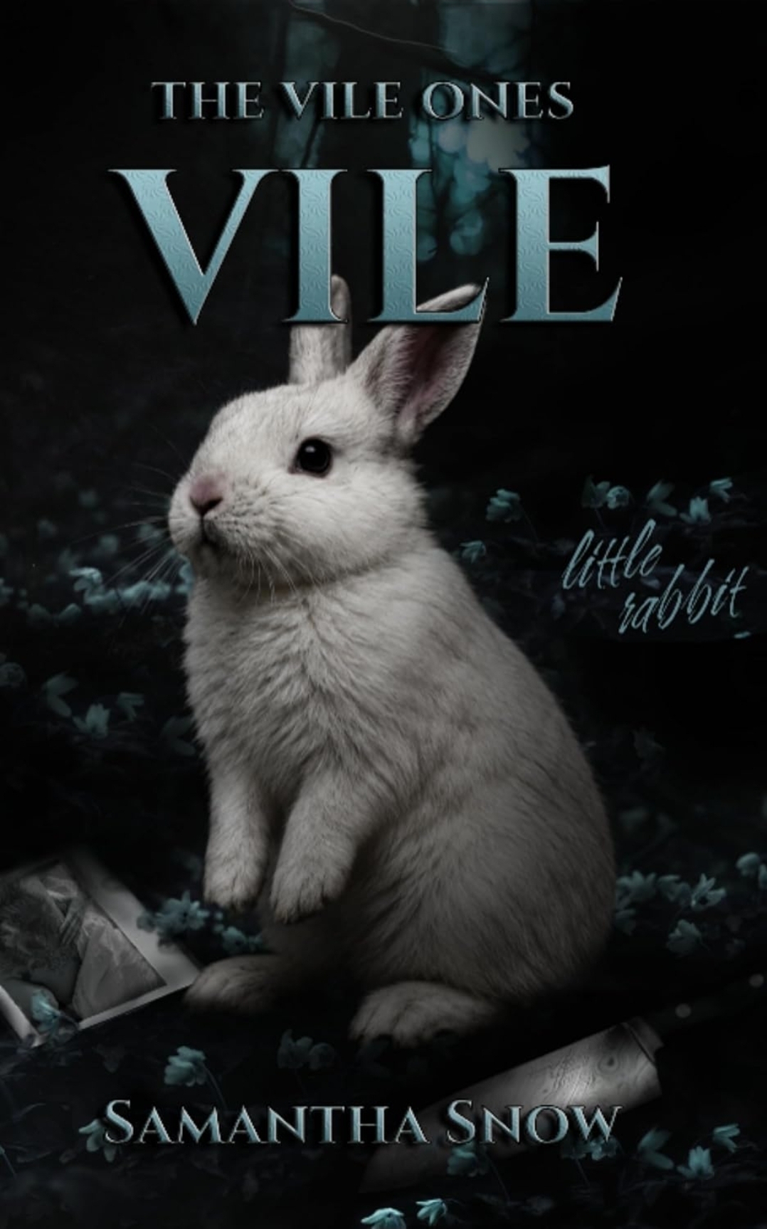VILE cover